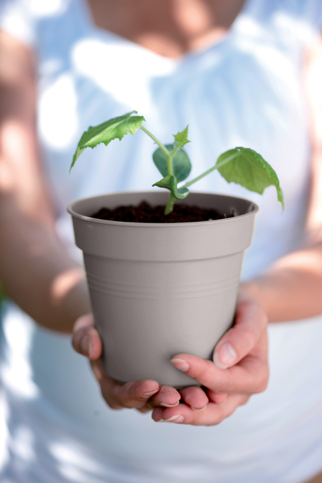 green basics growpot 19cm lilla sfumato